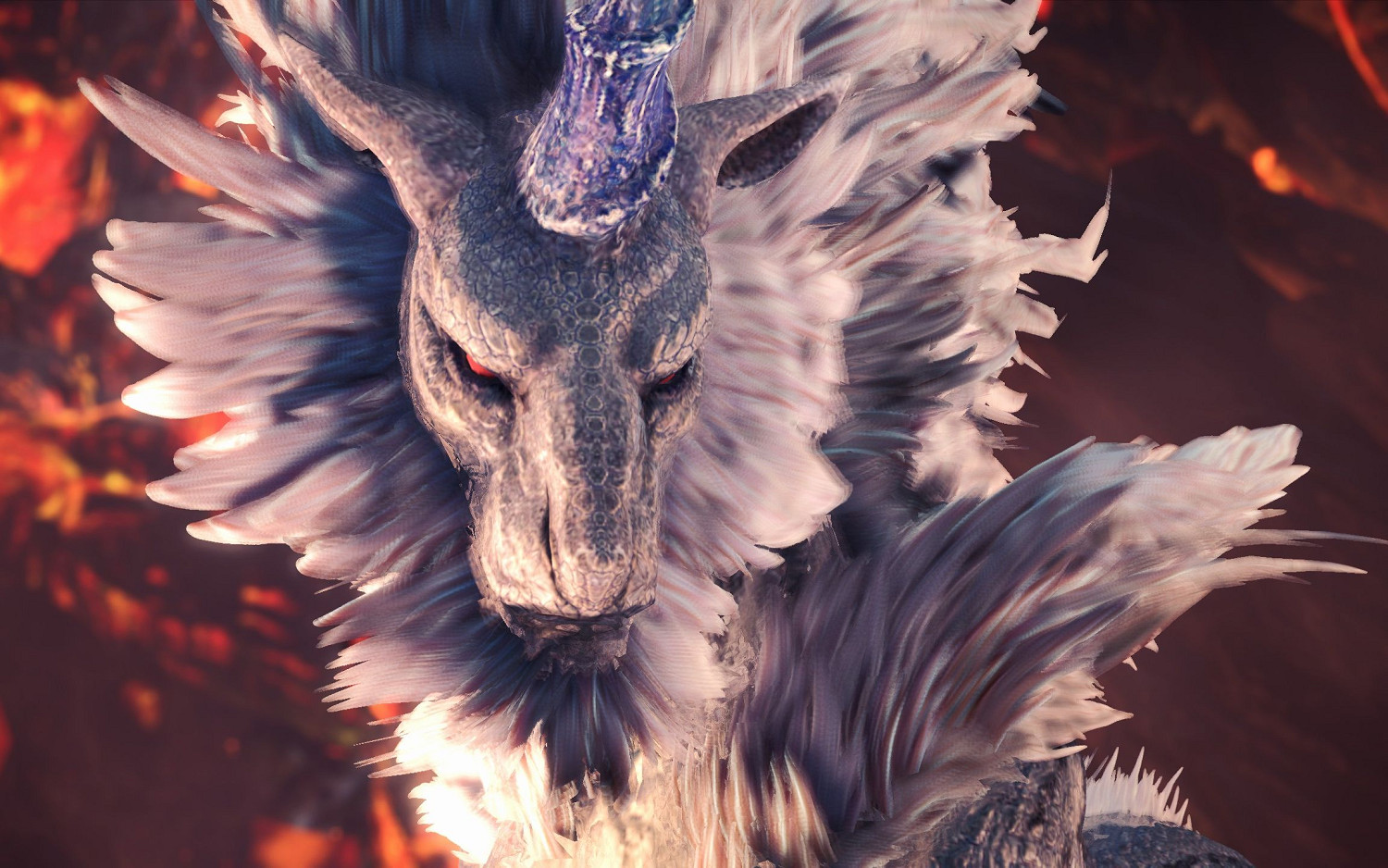 新大陸調查團書士支隊調查定期報告--怪獵世界生態盤點 新大陸調查團書士支隊調查定期報告--怪獵世界生態盤點