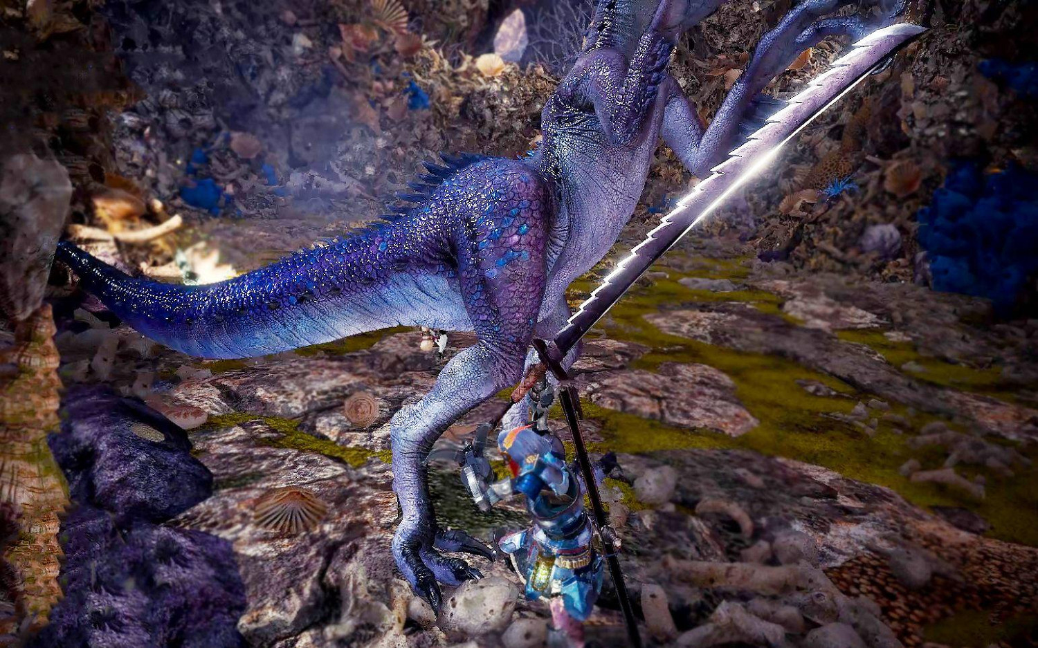 新大陸調查團書士支隊調查定期報告--怪獵世界生態盤點 新大陸調查團書士支隊調查定期報告--怪獵世界生態盤點