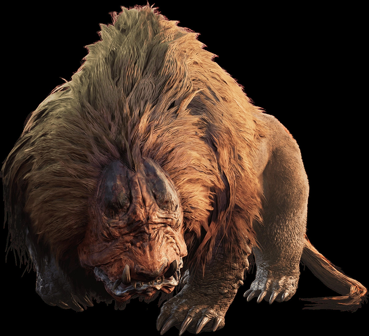 禁足地調查團書士孤鳥跟隨隊定期報告—荒野生態介紹 禁足地調查團書士孤鳥跟隨隊定期報告—荒野生態介紹