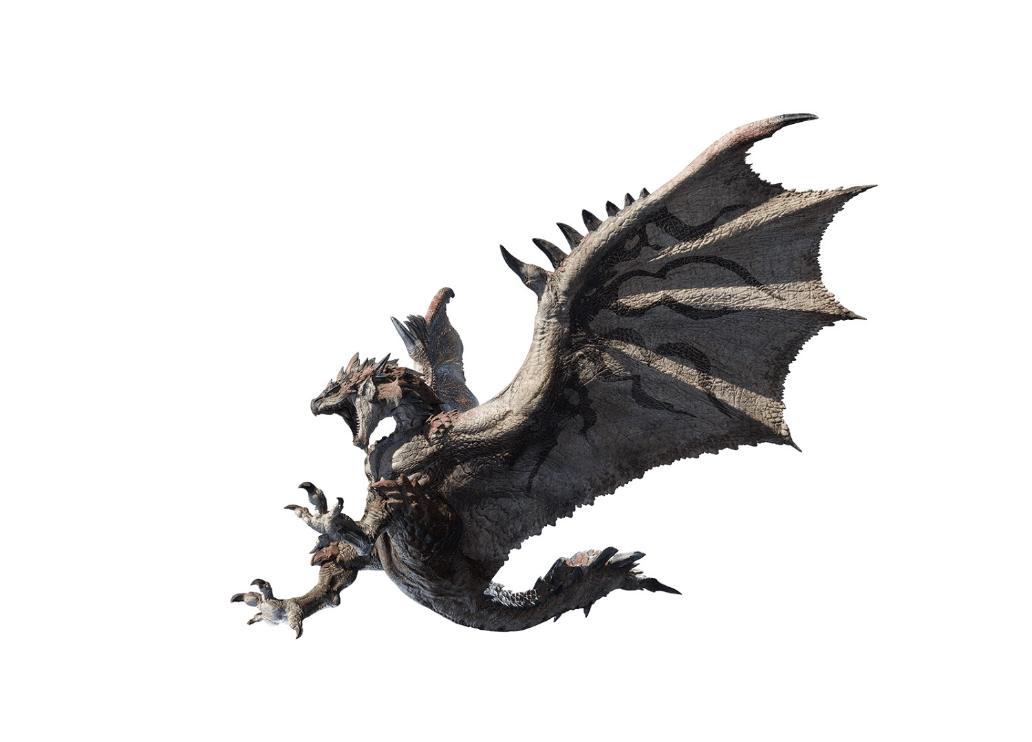 禁足地調查團書士孤鳥跟隨隊定期報告—荒野生態介紹 禁足地調查團書士孤鳥跟隨隊定期報告—荒野生態介紹