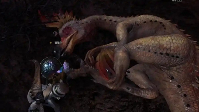 穿梭在各地的竊蛋賊 新大陸火龍與炊事班的噩夢——搔鳥