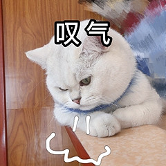 一家自動駕駛公司,是如何用五張A4紙搞垮武俠3A夢的? 一家自動駕駛公司,是如何用五張A4紙搞垮武俠3A夢的?