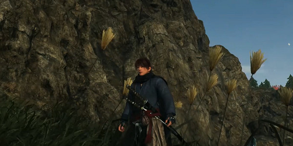 《浪人崛起》捏臉程式碼資料大全