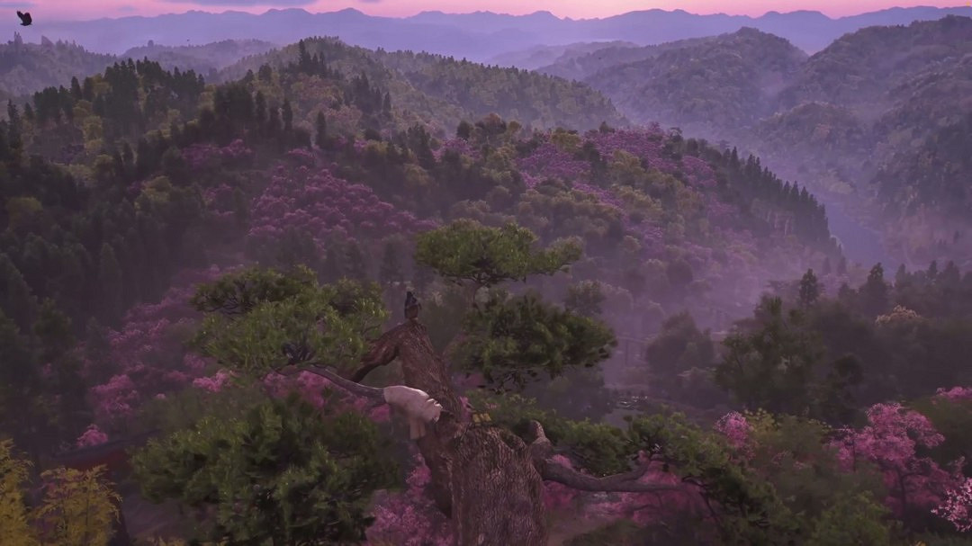 IGN《刺客教條：影》新展示 展示九個超唯美場景！