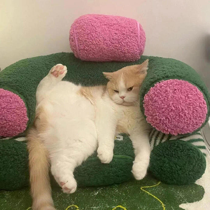 《英雄聯盟》じove的專屬暱稱大全