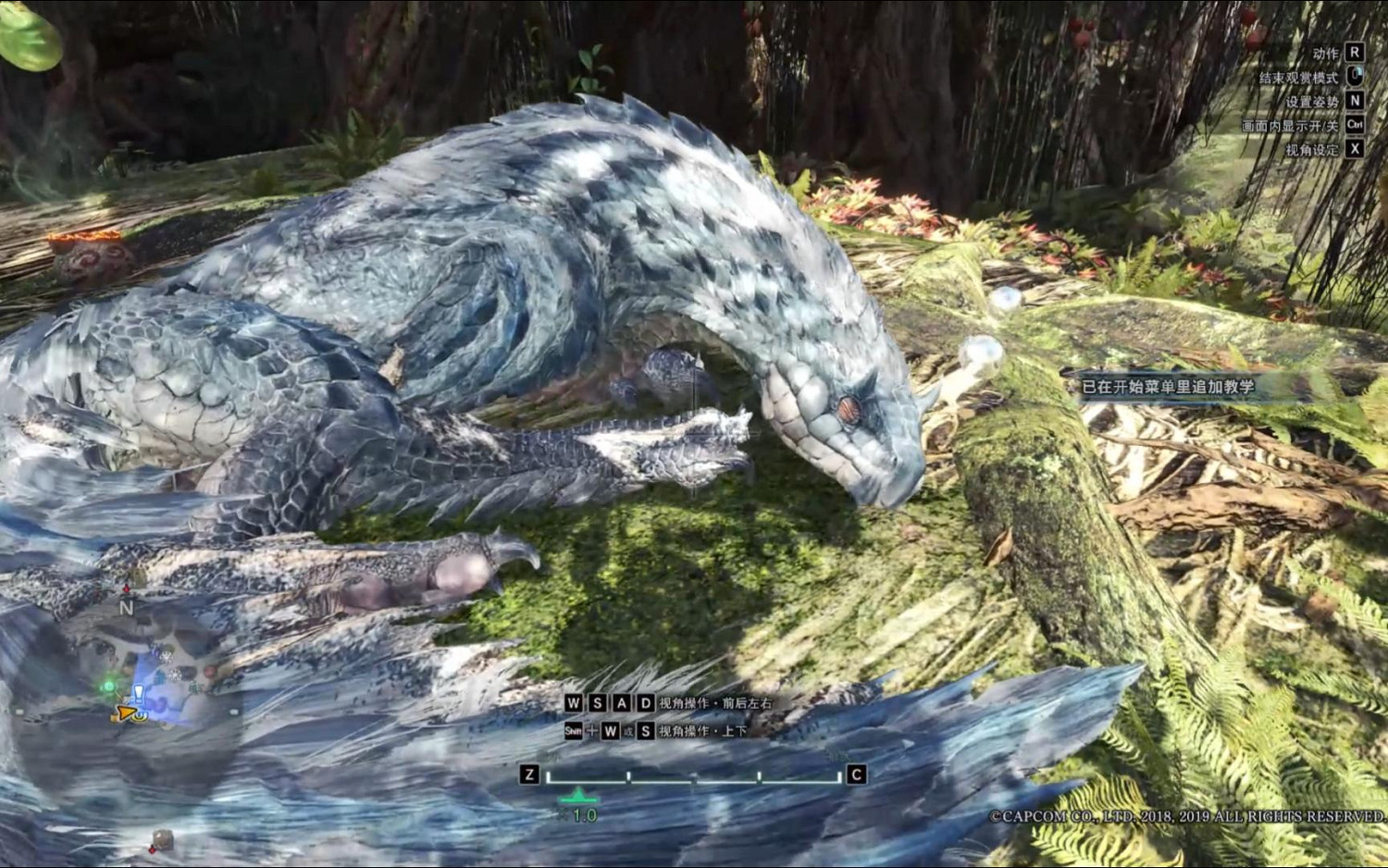 古代樹森林的靜電舞者與冰原的可愛乖狗狗——飛雷龍