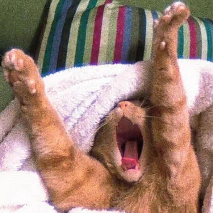 《英雄聯盟》じove的專屬暱稱大全