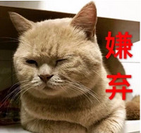 美國邪教花50萬美元,想用遊戲MOD洗腦玩家? 美國邪教花50萬美元,想用遊戲MOD洗腦玩家?