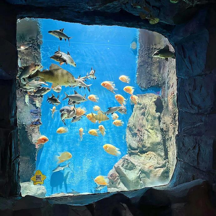 《英雄聯盟》2025流行的網名大全