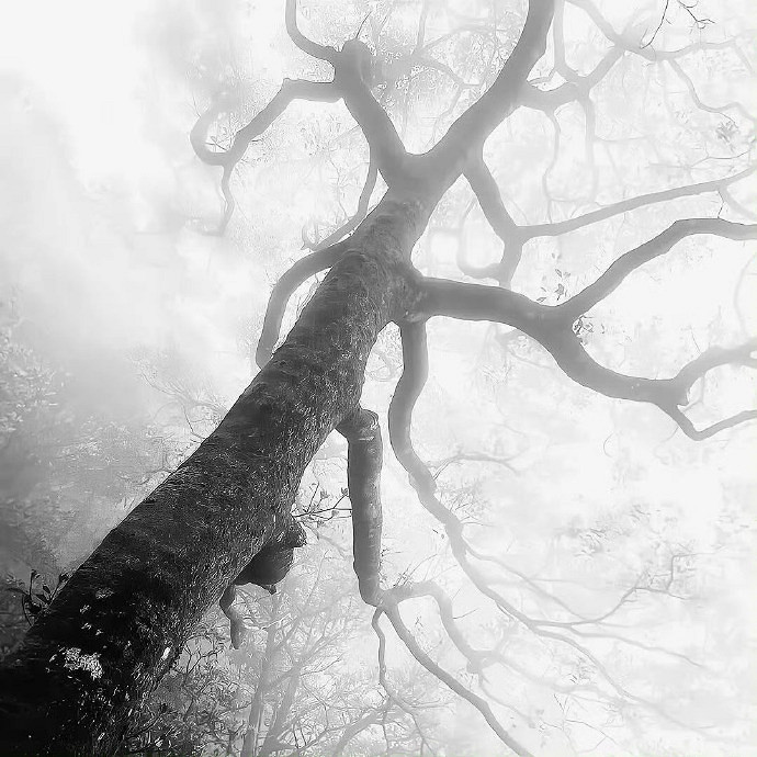 《英雄聯盟》emo傷感網名可複製 《英雄聯盟》emo傷感網名可複製