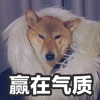 女大曬清涼穿搭，評論區炸鍋：這就是讓街拍師追了三條街的秘密?