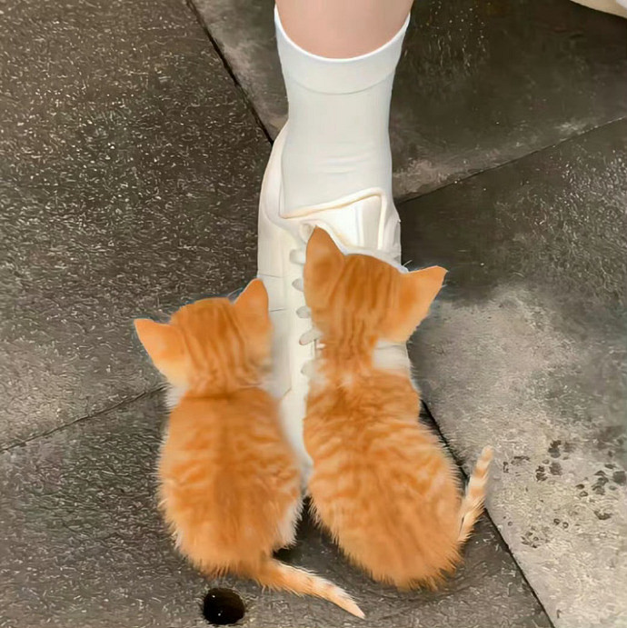 《英雄聯盟》i人創意暱稱大全 《英雄聯盟》i人創意暱稱大全