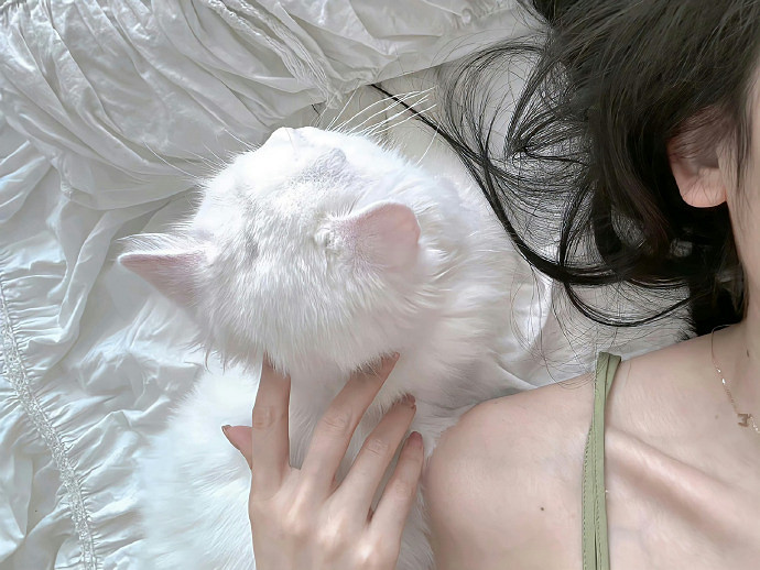 《英雄聯盟》陽光開朗的網名大全