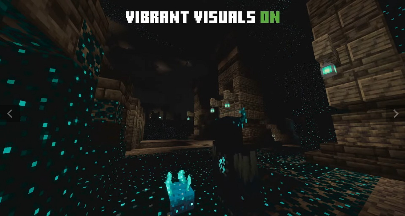 當個創世神麥塊更新：四人座騎！官方光影等實用功能上線