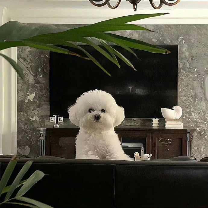 《英雄聯盟》傷感網名推薦有深意