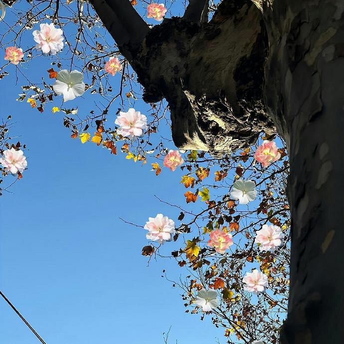 《英雄聯盟》女人氣質高雅的網名大全 《英雄聯盟》女人氣質高雅的網名大全