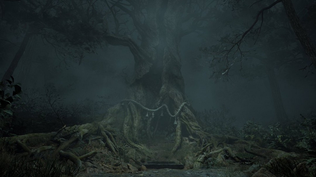 《沉默之丘f》“舊千年杉神社”介紹：陰森荒蕪的巨樹！