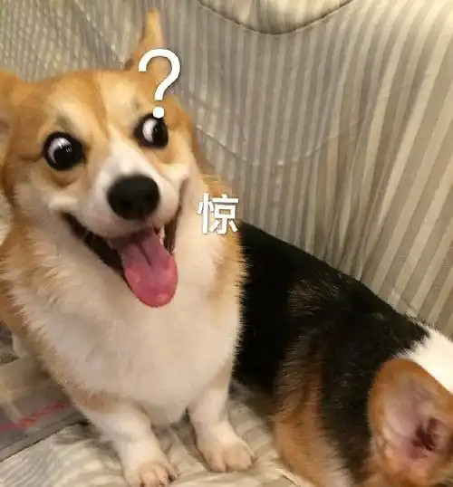 中國大陸研發端遊上演“離譜”造富神話：百萬黃金服玩家每人獲利超3000元