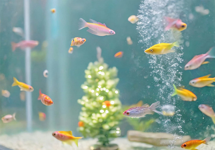 《英雄聯盟》高情商的網名男大全