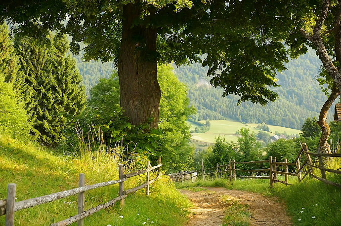 《英雄聯盟》高情商的網名男大全