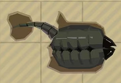 《漁帆暗湧》鐵島深淵dlc全魚圖鑒 《漁帆暗湧》鐵島深淵dlc全魚圖鑒