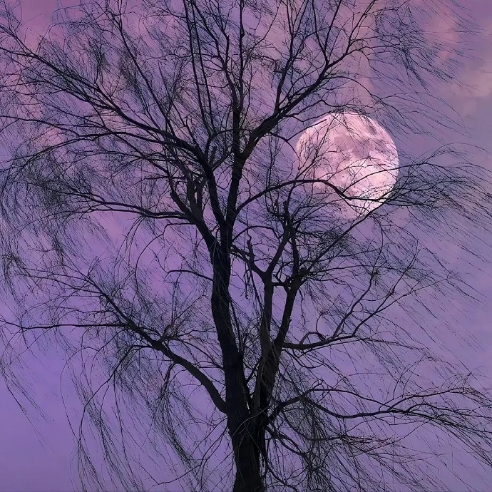 《英雄聯盟》治愈系最溫暖的暱稱推薦 《英雄聯盟》治愈系最溫暖的暱稱推薦