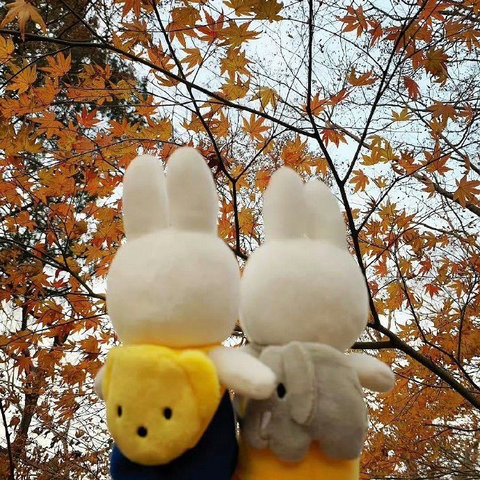 《英雄聯盟》期盼心上人歸來的網名大全