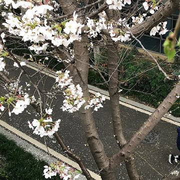 《英雄聯盟》暗示在等一個人的暱稱大全