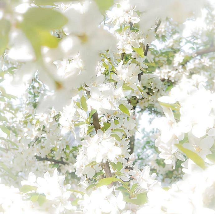 《英雄聯盟》暗示在等一個人的暱稱大全