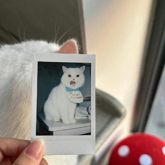 《英雄聯盟》普通一點的網名大全