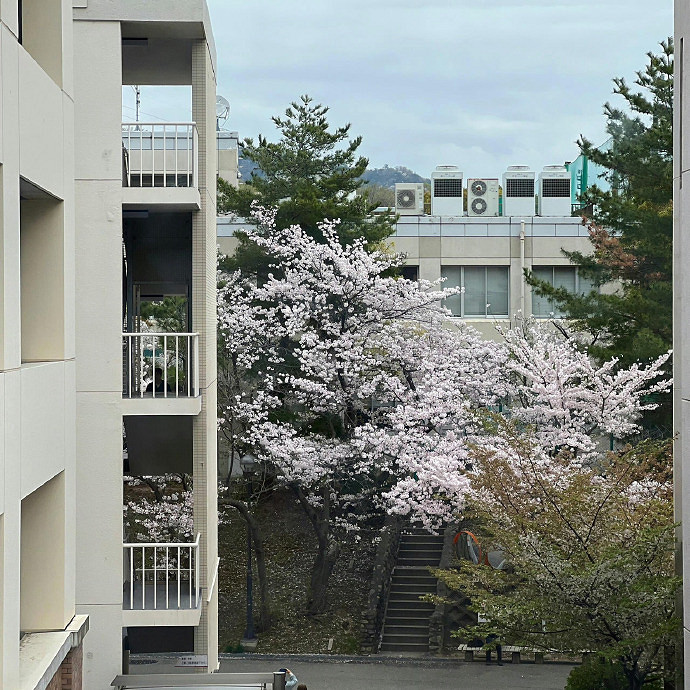 《英雄聯盟》期盼心上人歸來的網名大全