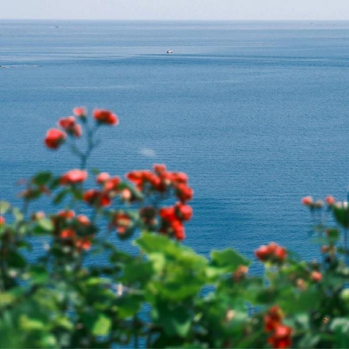 《英雄聯盟》適合35歲男生的暱稱大全