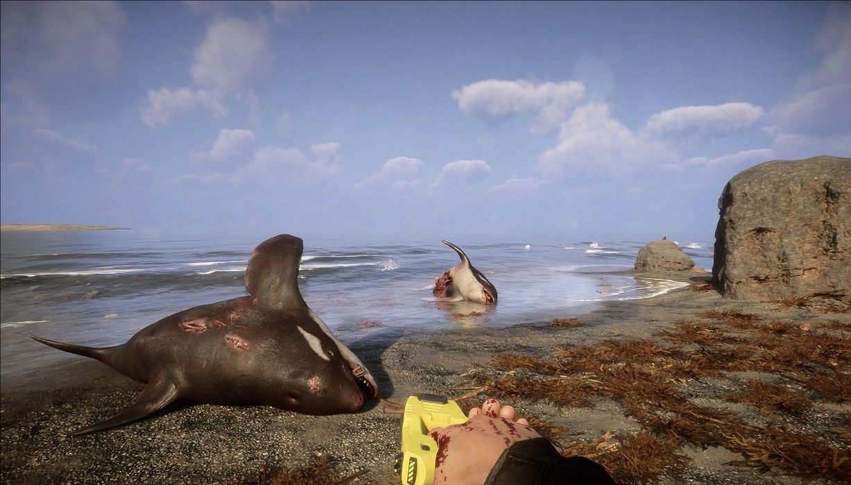 《森林之子》最新作弊碼大全表一覽 《森林之子》最新作弊碼大全表一覽