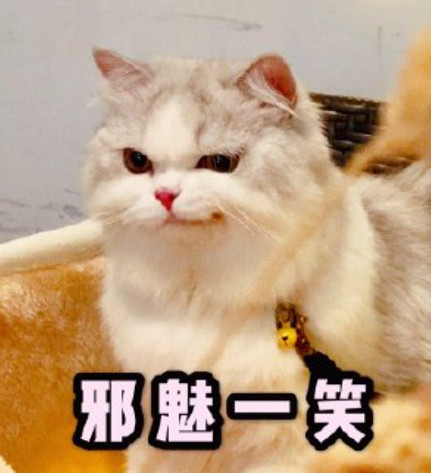 50萬玩家賺走網易2個億後,開始集體失眠 50萬玩家賺走網易2個億後,開始集體失眠