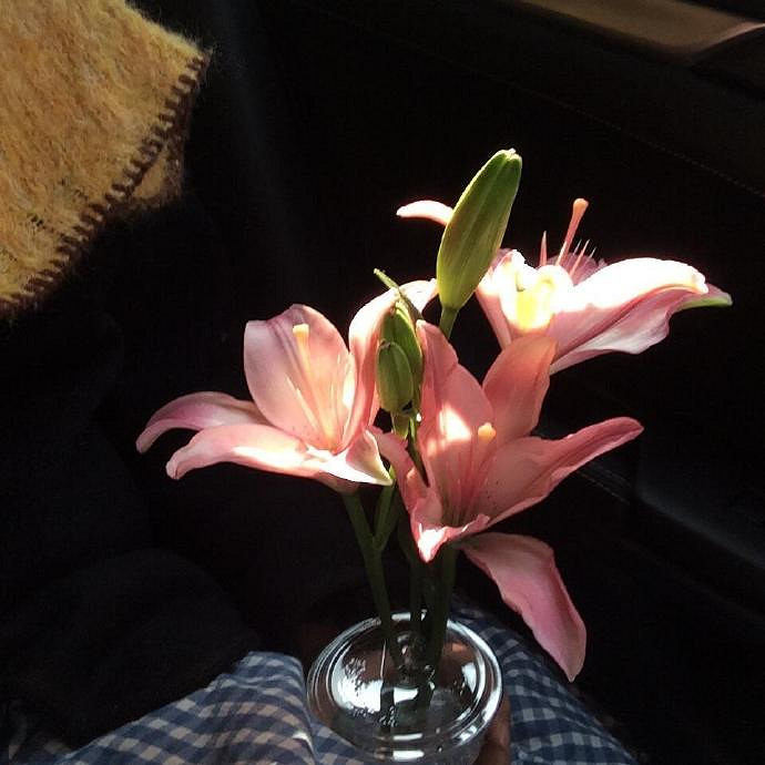 《英雄聯盟》一生好運的名字匯總