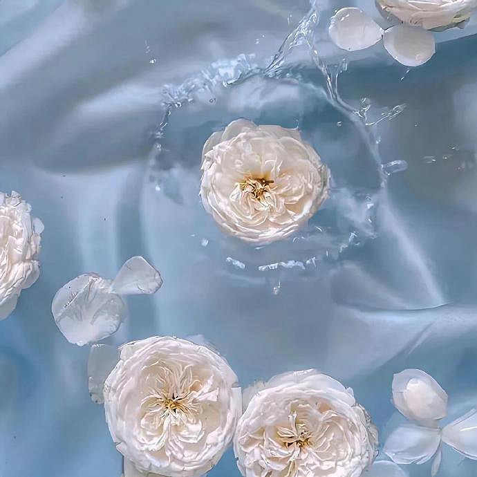 《英雄聯盟》心涼的網名女有內涵匯總