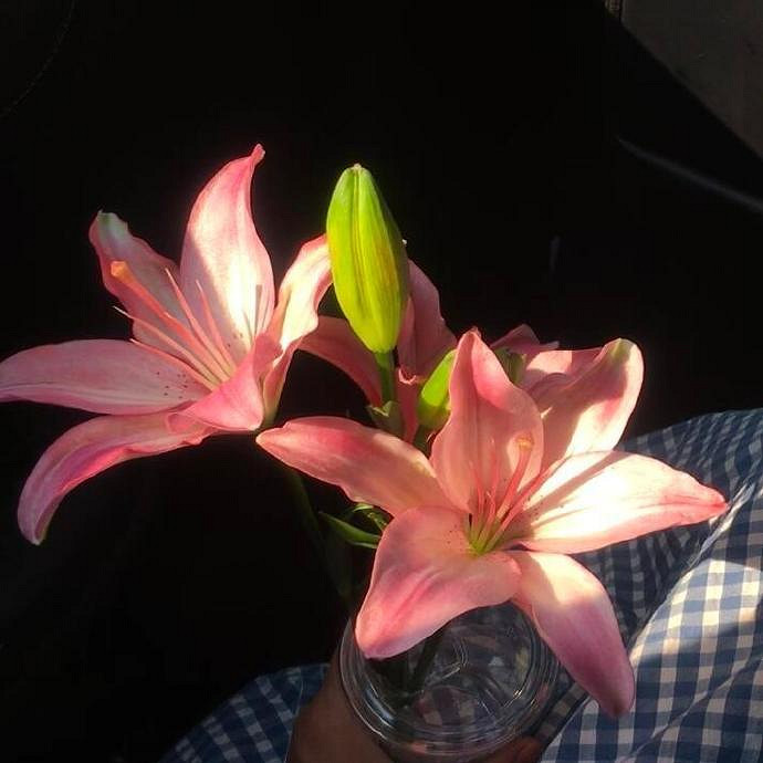 《英雄聯盟》一生好運的名字匯總