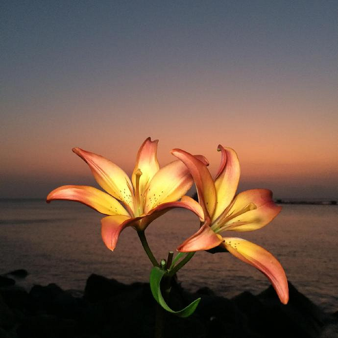 《英雄聯盟》一生好運的名字匯總