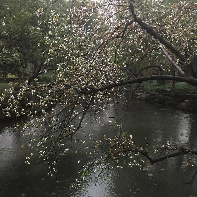 《英雄聯盟》網名女生暱稱好聽傷感一覽