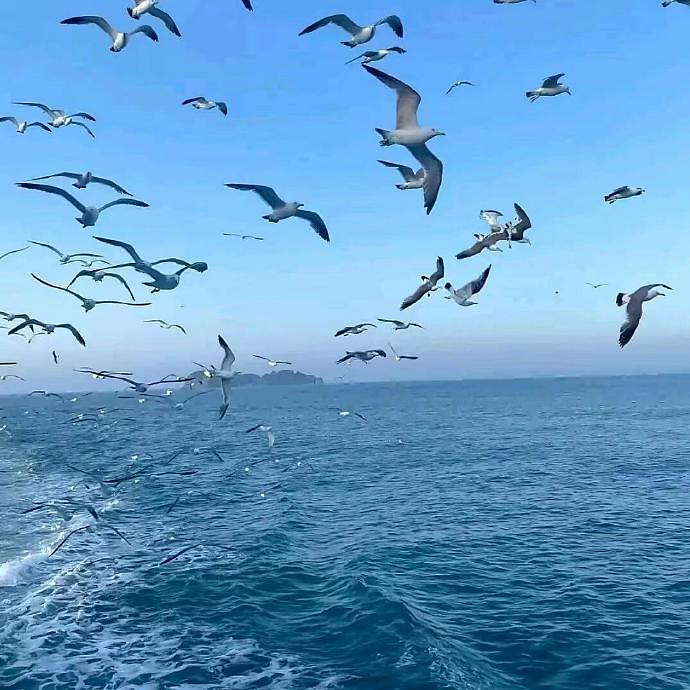 《英雄聯盟》心涼的網名女有內涵匯總