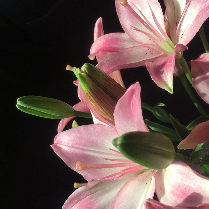 《英雄聯盟》一生好運的名字匯總