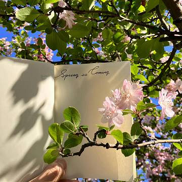 《英雄聯盟》雅而不俗的稀少名字推薦