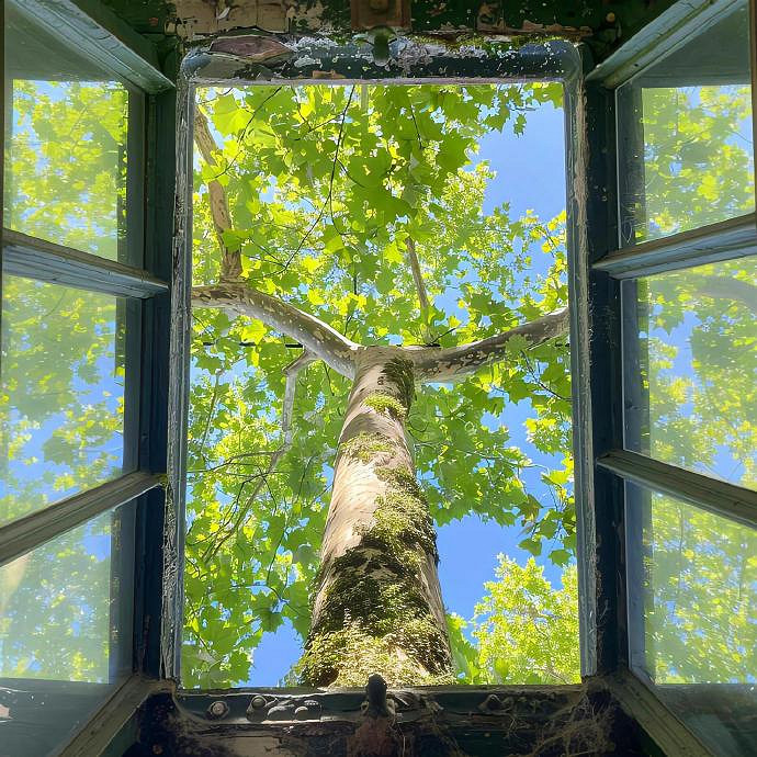 《英雄聯盟》老年人的網名大全