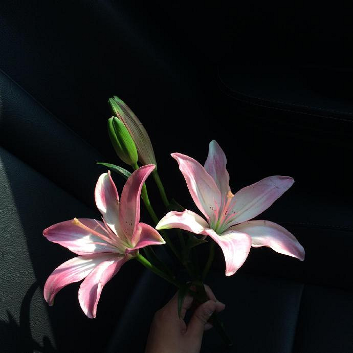 《英雄聯盟》一生好運的名字匯總