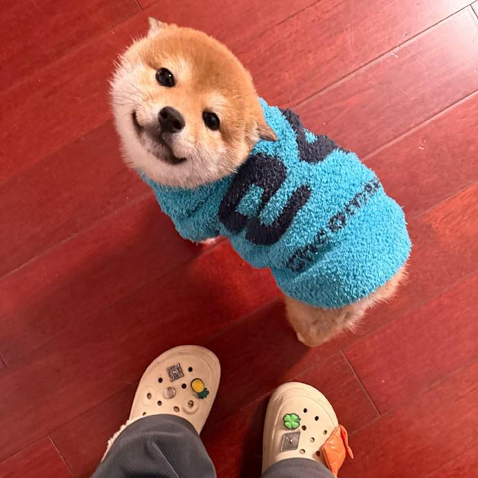 《英雄聯盟》網名女生暱稱好聽傷感一覽