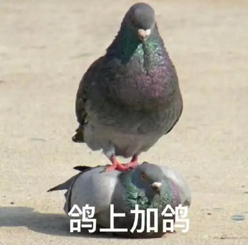 打槍和妹妹全都要!這次的《PUBG》又整了什麽新活兒? 打槍和妹妹全都要!這次的《PUBG》又整了什麽新活兒?