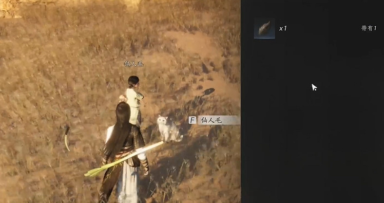 《燕雲十六聲》貓癮患者奇遇流程圖文攻略 《燕雲十六聲》貓癮患者奇遇流程圖文攻略