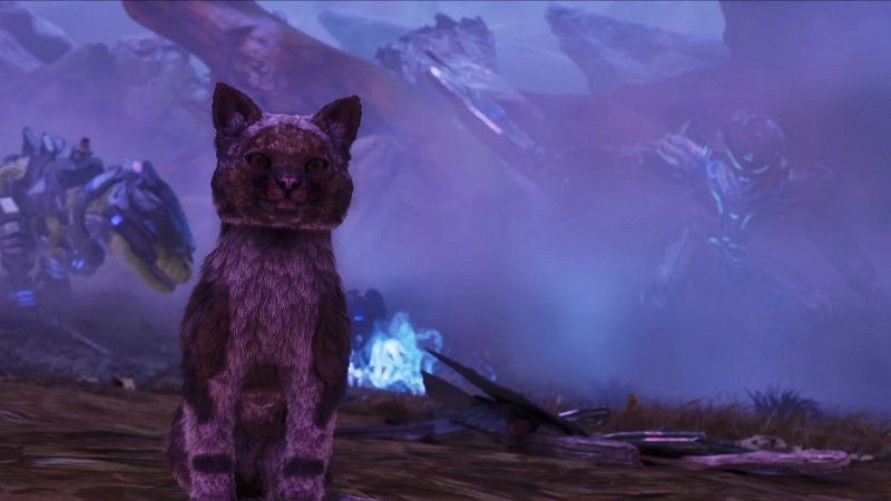 《方舟生存飛升》可愛新生物“貓”上線,性格各異,貓黨狂喜 《方舟生存飛升》可愛新生物“貓”上線,性格各異,貓黨狂喜