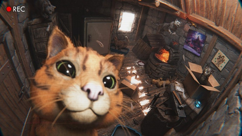 《方舟生存飛升》可愛新生物“貓”上線,性格各異,貓黨狂喜 《方舟生存飛升》可愛新生物“貓”上線,性格各異,貓黨狂喜