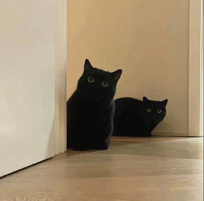 《英雄聯盟》有文化修養的網名分享